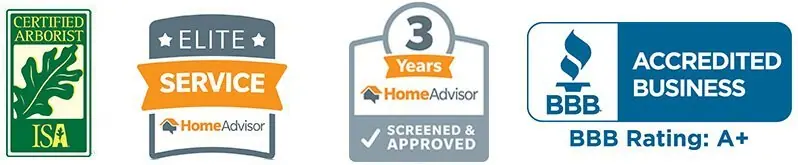 ISA Certified Arborist, HomeAdvisor Elite Service, HomeAdvisor Screened and Approved and BBB A+ badges
