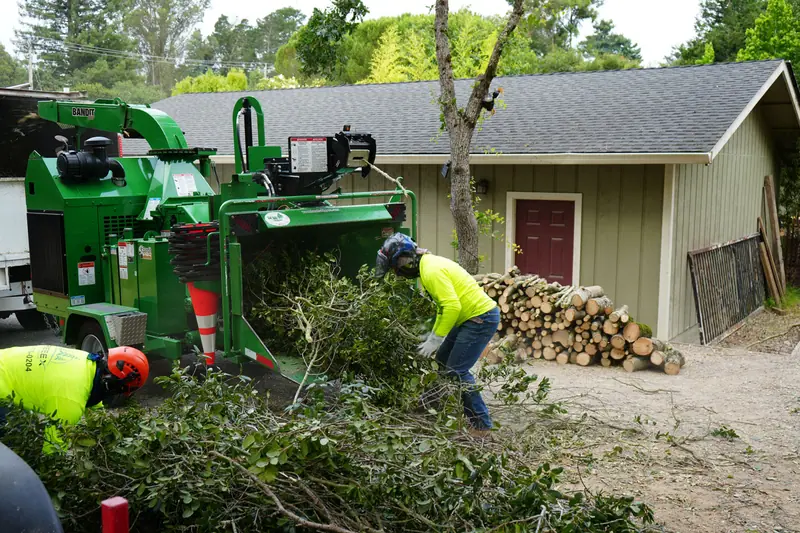 Two TreeEx crew members feeding cut branches into a wood chipper beside a stacked woodpile