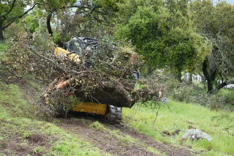 Tracked loader hauling a load of cleared brush and branches across a grassy hillside