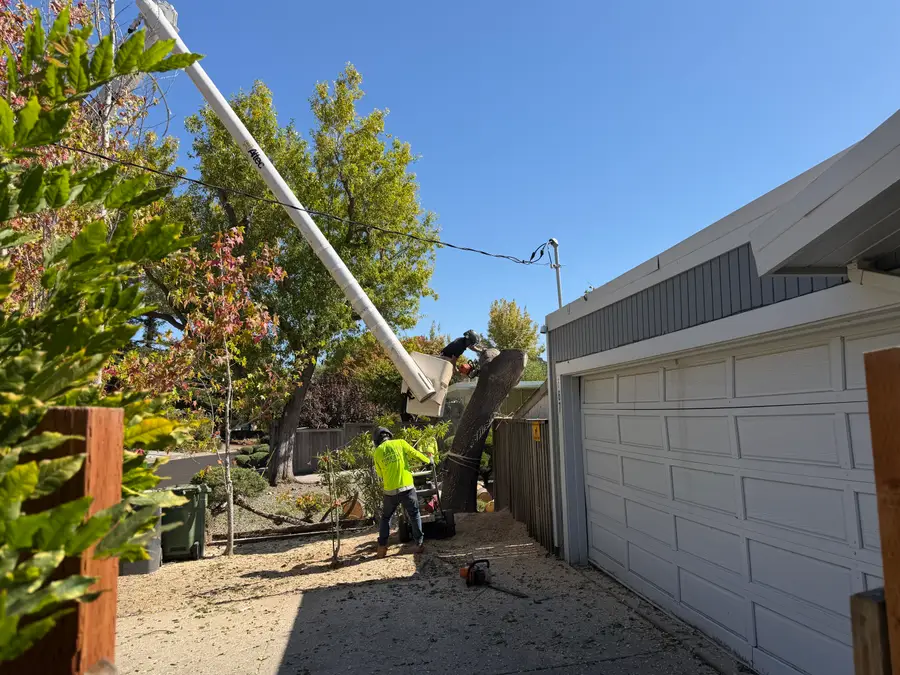 TreeEx bucket truck raised next to a garage during a tree removal