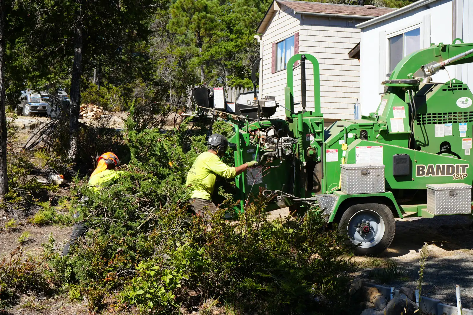 TreeEx crew feeding brush into a Bandit chipper