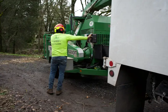TreeEx crew member at the chipper controls
