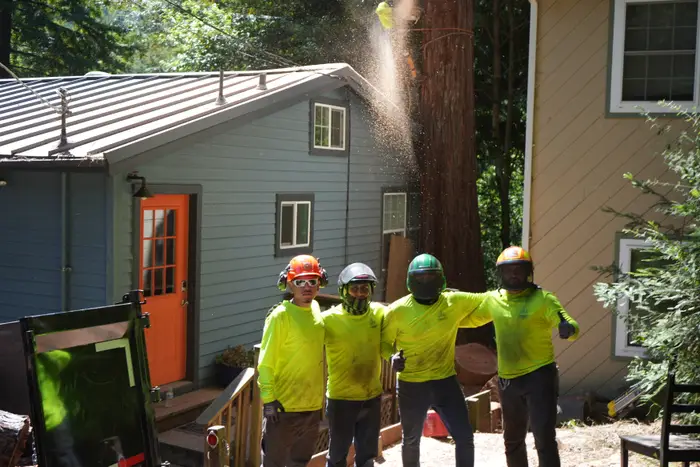 Four TreeEx crew members in hard hats beside a house