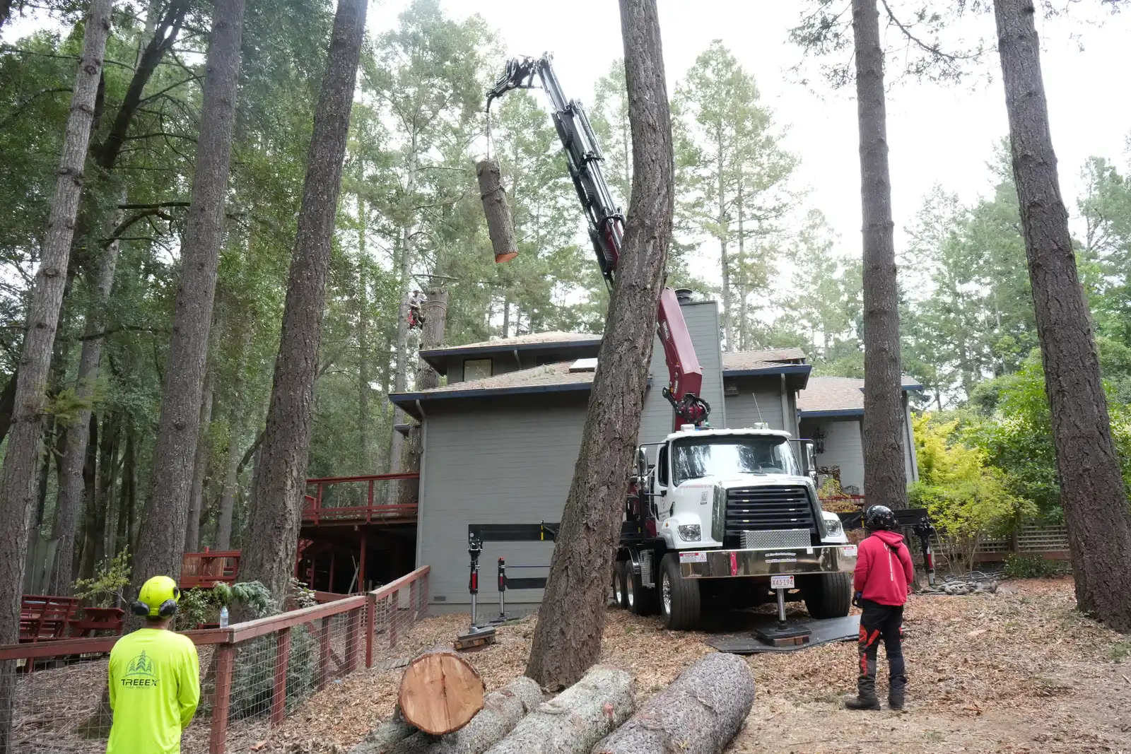TreeEx knuckle-boom crane lifting a log section between tall pines beside a home