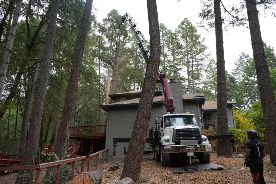 TreeEx knuckle-boom crane truck parked beside a home under tall pines