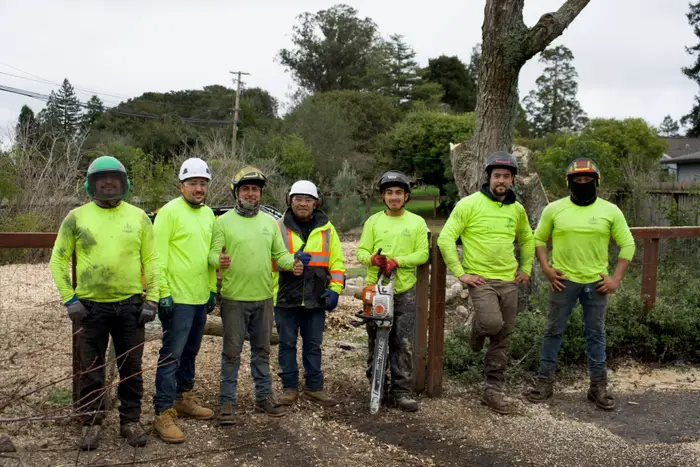 The TreeEx crew in front of a large oak