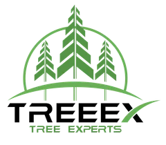 TreeEx Tree Experts logo