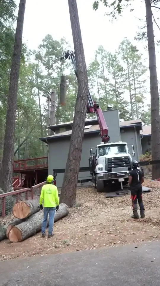 Crane Tree Removal Next to a Home, TreeEx Tree Experts