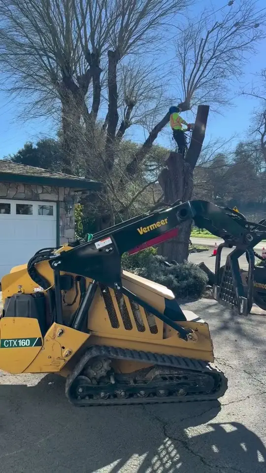 Log Removal With a Grapple Loader, TreeEx Tree Experts